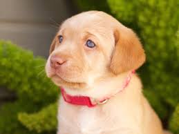 Lisateavet affordable pet vet clinic kohta leiate veebisaidilt affordablepetvetclinic.com. Ya8b9lhjtnewtm