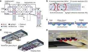 We help gardeners find free wood chip mulch near them. Multi Analyte Biosensor Interface For Real Time Monitoring Of 3d Microtissue Spheroids In Hanging Drop Networks Microsystems Nanoengineering