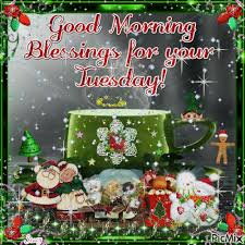 Https Encrypted Tbn0 Gstatic Com Images Q Tbn And9gcqifw4yswefa0fwmqbthhktsczqjep1pw Jtq Usqp Cau