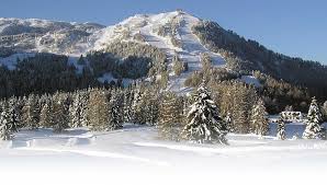 Via monte zoncolan, ravascletto, 33020, italy. Monte Zoncolan Guide Gratis