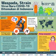 Temukan berbagai berita populer, trending topik dan video viral terbaru hari ini disini. Waspada Strain Virus Baru Covid 19 Ditemukan Di