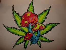 Adhd and weed what s the draw psychology today. Stoner Weed Painting Shefalitayal