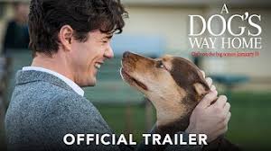 A female dog travels four hundred miles in search of her owner throughout a colorado wilderness. Long Way Home Full Movie Youtube