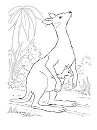 Tree Kangaroo Coloring Page Animal Coloring Pages Farm Animal Coloring Pages Animal Coloring Books