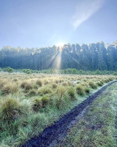 Hike Nevado a Valle de Bravo 2