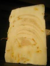 Un Savon Que J Adooooorre Tellement Il Est Doux Tellement Il Sent Bon Et Tellement Il Est Cremeux Et Extremement Moussant Un De Savon Savon Doux Savon Maison