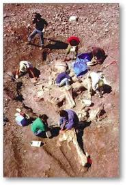 Maybe you would like to learn more about one of these? Hoax Saudi Aramco Jumpa Rangka Kaum Ad Subhanallah Gambar Page 9 Carigold Forum