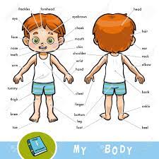 Practical applications of research into the body clock think back to the horizon documentary using the body clock to better treat cancers and improve the psychological health of patients with alzheimer's. Cartoon Visual Dictionary For Children About The Human Body My Body Parts For A Boy Royalty Free Cliparts Vectors And Stock Illustration Image 94695798