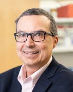 SPORE in Breast Cancer