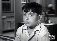 Watch Leave It to Beaver Online