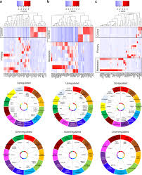 Cousin itt visits the addams family. Targeting The Mapk7 Mmp9 Axis For Metastasis In Primary Bone Cancer Oncogene