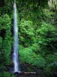Waktu tempuh dari rumah ke tempat wisata dlundung ini sekitar pada musim liburan lebaran ini harga tiket masuk ke wisata air terjun dlundung adalah rp 12500 per orang. 25 Tempat Wisata Di Mojokerto Terbaru Terfavorit 2021 Photosot Com