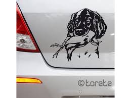 Image result for Malý münsterlandský ohař