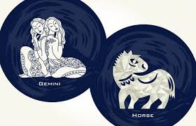 Combining Signs Of Western And Chinese Zodiacs For