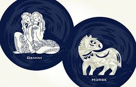 combining signs of western and chinese zodiacs for