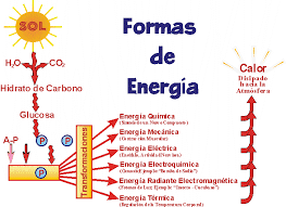 portafolioleyconservacionenergia