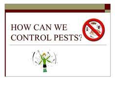 The effects of organic and inorganic fertilizers to the growth of pechay plant under drought. 48 Pests Ideas In 2021 Pests Integrated Pest Management Plant Pests