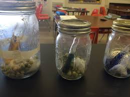 We did not find results for: Lesson Cellular Respiration Do Plants Breathe Betterlesson