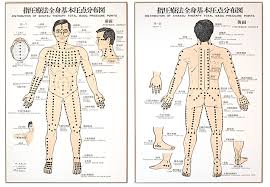 73 Extraordinary Shiatsu Massage Chart