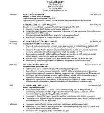 cheap academic resume! resume examples