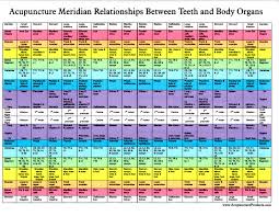 62 Actual Holistic Tooth Chart