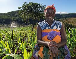 Grow and sell corn, wheat, barley, soybeans and. Pubdocs Worldbank Org