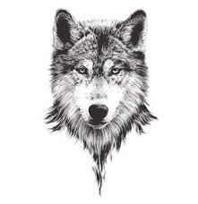 Pin By Salih Can Arikan On M V Wolf Tattoos Wolf Tattoo Sleeve Wolf Tattoos Men