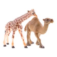 Similar to giraffes, camels move both legs together on each side of their body to walk. 2pcs Small Mini Simulation Animals Figures Forest Camel Giraffe Collectible Biology Aliexpress