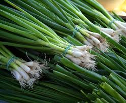 Tambahkan kecap asin atau kecap manis di atasnya. Mulai Sekarang Jangan Buang Akar Daun Bawang Coba Cara Mudah Menanam Tanaman Sendiri Di Halaman Rumah Dari Daun Bawang Hingga Nanas Semua Halaman Intisari