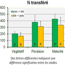 La réponse à la définition : Pdf Les Cultures Associees Cereale Legumineuse En Agriculture Bas Intrants Dans Le Sud De La France