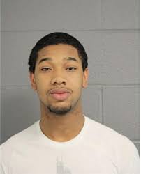 ᐅ Illinois Criminal Records 2009-2025