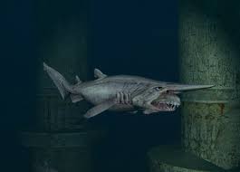 The biting process, named slingshot feeding by the known as mitsukuri sharks in japan, goblin sharks are so called in western nations due to their somewhat alarming appearance: Goblin Shark Endless Ocean Wiki Fandom