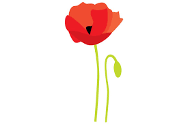 Download Poppy Flower Svg Cut File By Creative Fabrica Crafts Creative Fabrica PSD Mockup Templates