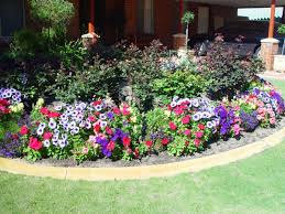 Check back later for details. How To Take Care Of Flower Plants In Your Garden Dengarden
