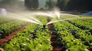 Dubai's Water Conservation in Arid Climate Explained