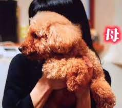 横浜流星の松伏実家がステキ 大工の父 母 弟 と家族仲は良好 ほわほわブログ hot word hot word blog 兄弟の写真 横浜流星 横浜