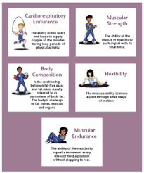 The 5 components that make up total fitness are: Beyond Gym Class How Cities Can Help Kids Increase Their Physical Activity Public Health Insider