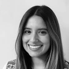 MAIP 2020 VEP Fellows