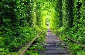 للإستفسار و لمزيد من التفاصيل يمكنكم التواصل معنا. Hala Ukraine On Twitter Ù†Ø­Ù† Ù†Ø±Ø³Ù… Ø§Ù„Ø³ÙŠØ§Ø­Ø© ÙÙŠ Ø£ÙˆÙƒØ±Ø§Ù†ÙŠØ§ ÙˆØ§Ù„Ø¬Ùˆ Ø§Ù„Ø³Ø§Ø­Ø± ÙˆØ§Ù„Ù„ÙŠØ§Ù„ÙŠ Ø§Ù„Ù…Ù…ØªØ¹Ø© Ø£ÙˆÙƒØ±Ø§Ù†ÙŠØ§ ØªÙ„Ùƒ Ø§Ù„Ø¯ÙˆÙ„Ø© Ø§Ù„Ø³Ø§Ø­Ø±Ø© Ø§Ù„ØªÙŠ ØªØ®Ø·Ù Ù‚Ù„Ø¨Ùƒ Ù‚Ø¨Ù„ Ø¹Ù‚Ù„Ùƒ Ù‡Ø°Ø§ Ø§Ù„Ù…ÙƒØ§Ù† Ø§Ù„Ø®Ù„Ø§Ø¨ Ø§Ù„Ù…Ù„Ø¦ Ø¨Ø§Ù„Ù…Ù†Ø§Ø¸Ø± Ø§Ù„Ø·Ø¨ÙŠØ¹ÙŠØ© Ø§Ù„Ø¬Ù…ÙŠÙ„Ø© ÙˆØ§Ù„Ø¬Ø¨Ø§Ù„