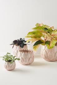 Pin By Providence On Hippie Style In 2020 Lotus Planters Garden Accessories