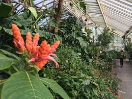 Kurzt Ipp Botanischer Garten Berlin Mit Kindern Unterwegs Mit Kind Botanischer Garten Berlin Botanischer Garten Garten