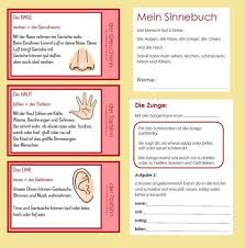 Sinnesmaterial Leichter Lernen Funf Sinne Kindergarten 5 Sinne Vorschule