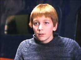 Mrs Weasley "Fred, you're next!" George "He's not Fred, I am!" Fred  "Honestly, woman, and you call yourself our mother!" Mrs Weasley "Oh, I'm  sorry George!" Fred"I'm only joking! I'm Fred!"