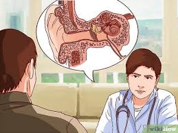 Image result for Bacterial Labyrinthitis