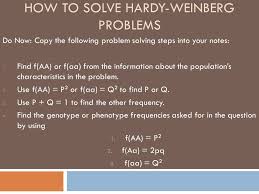 Follow up with other practice problems using human hardy weinberg problem set. How To Solve Hardy Weinberg Problems Ppt Video Online Download