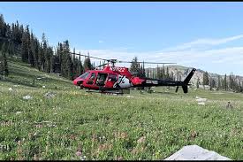 tcsar william standish wyoming Picture