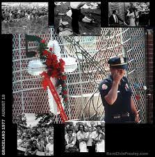 The light arrived and while a little disappointed that the glass shade wasn't really glass. Flowers On The Gates Of Graceland Elvis Presley Graceland Elvis Presley Images Graceland Elvis