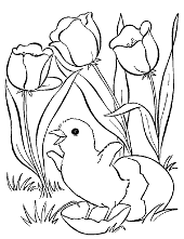 Free printable spring coloring pages. Spring Coloring Pages Pictures Topcoloringpages Net