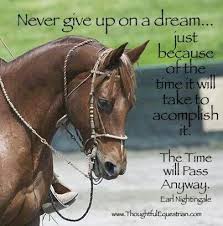 Never Give Up On A Dream Horse Riding Quotes Horse Quotes Equine Quotes
