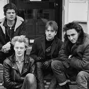 Your hair is brown your eyes are brown your skin is white two out of three ok with me come over here tonight i believe, i believe i believe in you i see your body, i see your body and i know what to do. Cactus World News S Lyrics Chords
